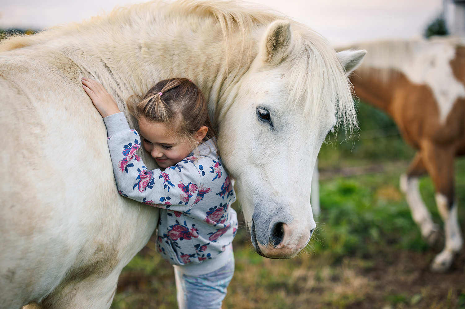 little girl hugging a white horse