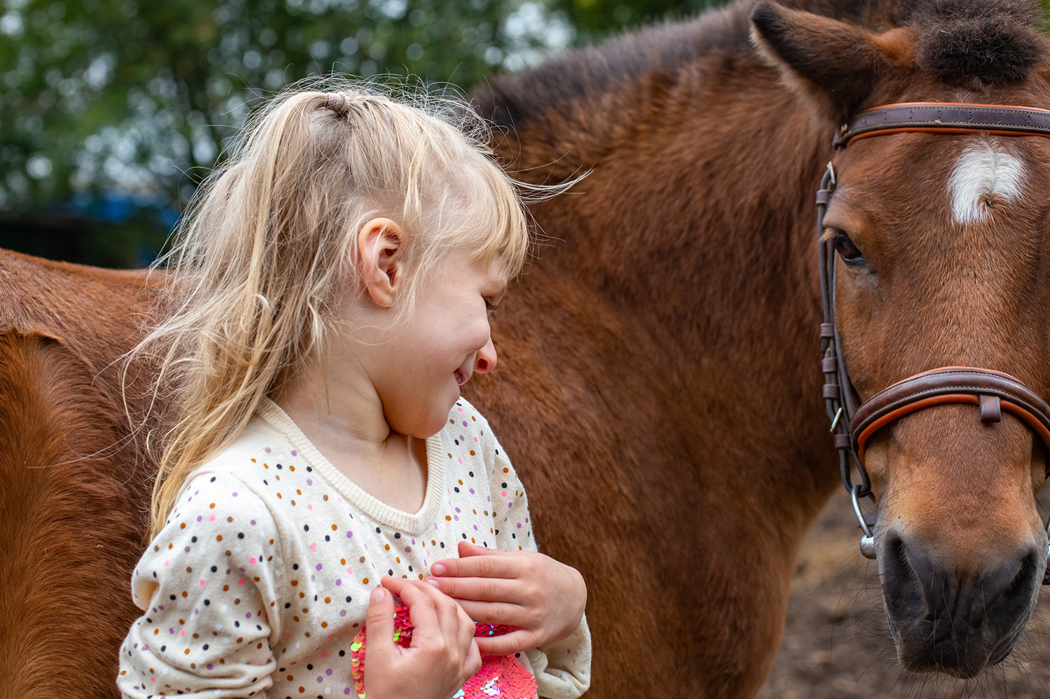 Little girl with horse